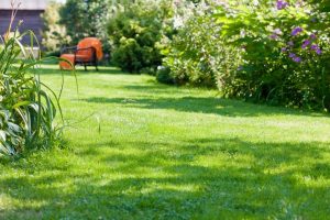 travaux jardin et paysage Grening